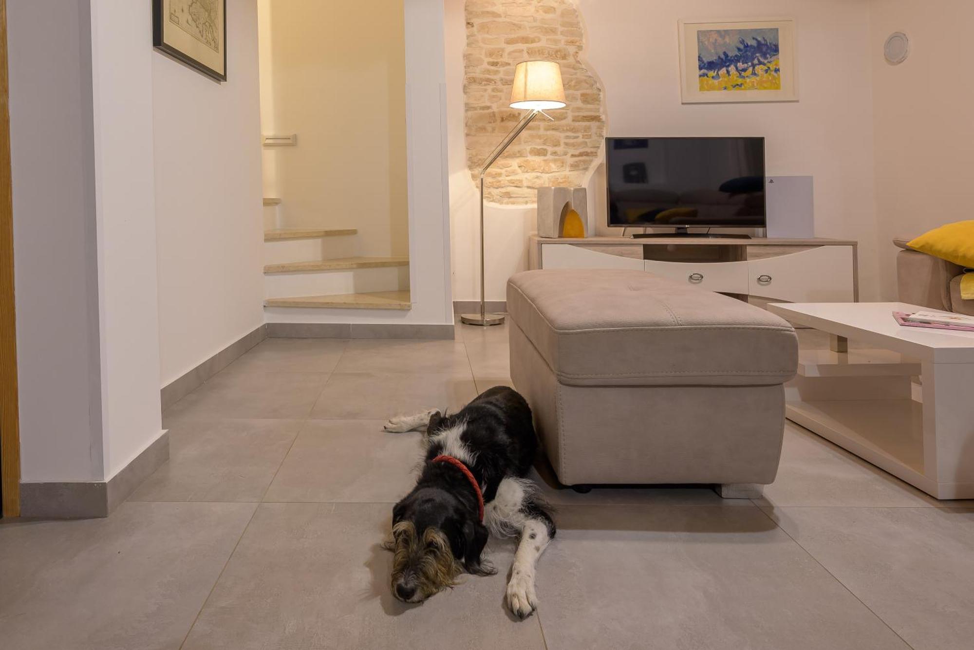 Villa Azinetti Stokovci Bagian luar foto